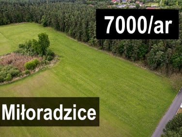 Działka przy lesie