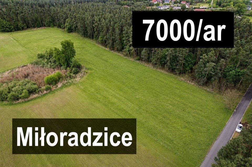 Działka przy lesie
