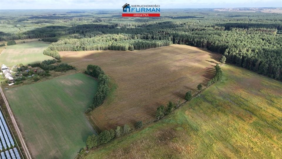 Działka rolna Sarcz