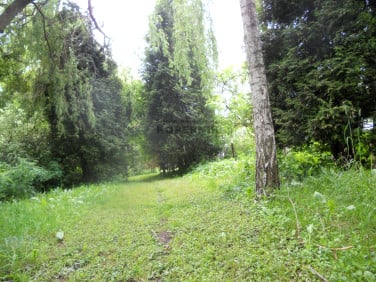 Działka leśna sprzedam