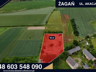 Działka budowlana Bożnów