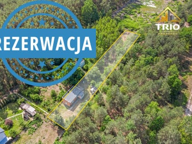 Działka Leśniakowizna