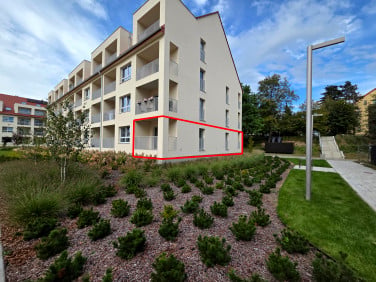 Lokal Jelenia Góra