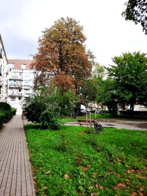 Mieszkanie Warszawa