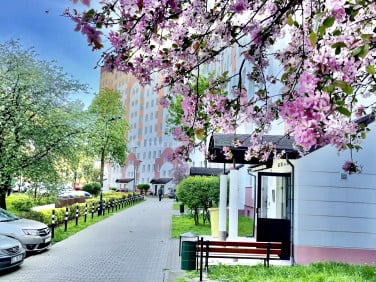 Mieszkanie Łódź
