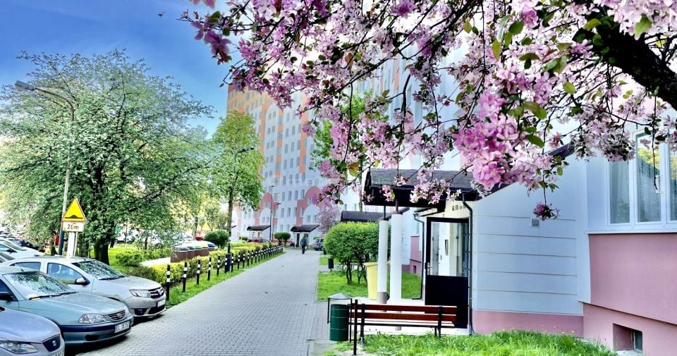 Mieszkanie Łódź