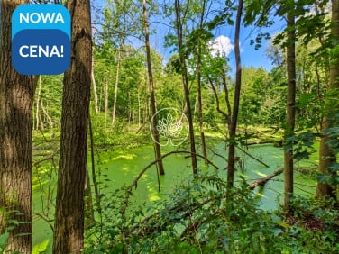 Działka Omięciny