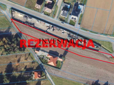 Działka Gogolin