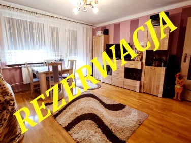 Mieszkanie Modrzewiec