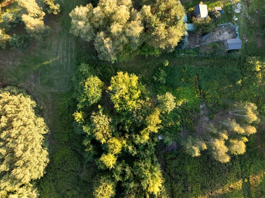 Działka budowlana Borzęcin Duży