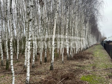 Działka rolna Nieborów