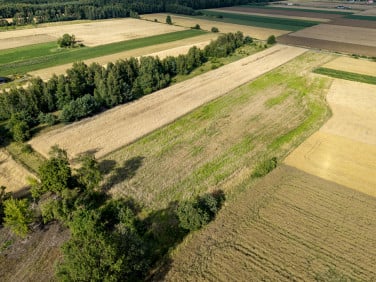 Działka budowlana Anielin