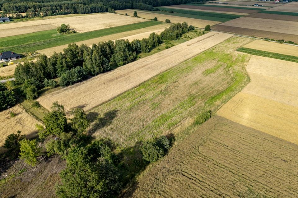 Działka budowlana Anielin