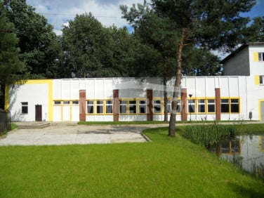 Działka usługowa Wiązowna