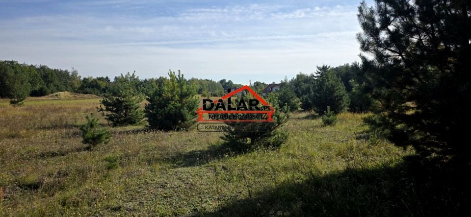 Sprzedam działkę Czersk - 4 807 m²