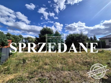 Działka przy lesie