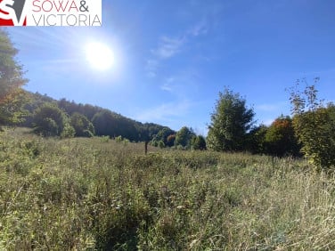 Działka Stare Bogaczowice