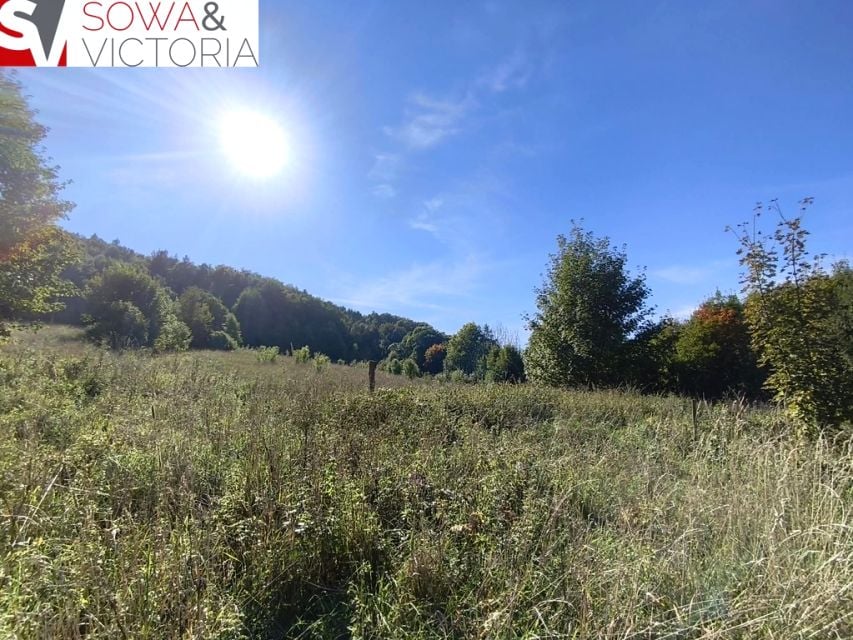 Działka Stare Bogaczowice