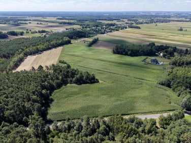 Działka przy lesie