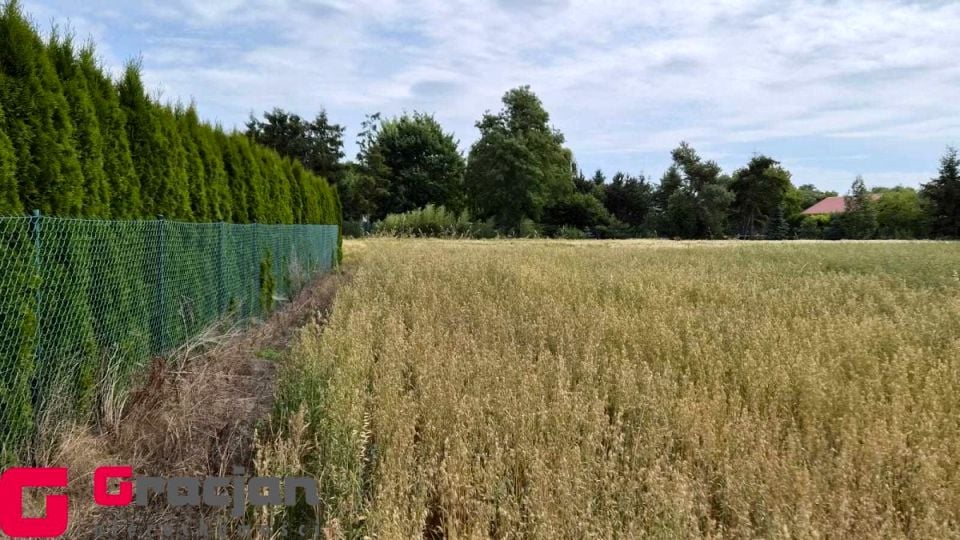 Działka budowlana Bogdanowo