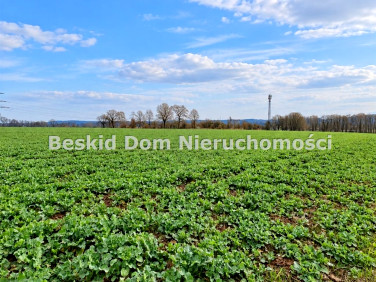 Działka inwestycyjna Międzyrzecze Dolne