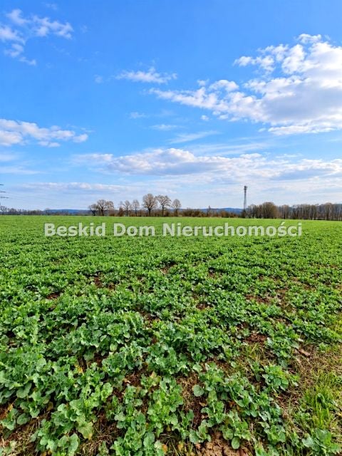 Działka inwestycyjna Międzyrzecze Dolne