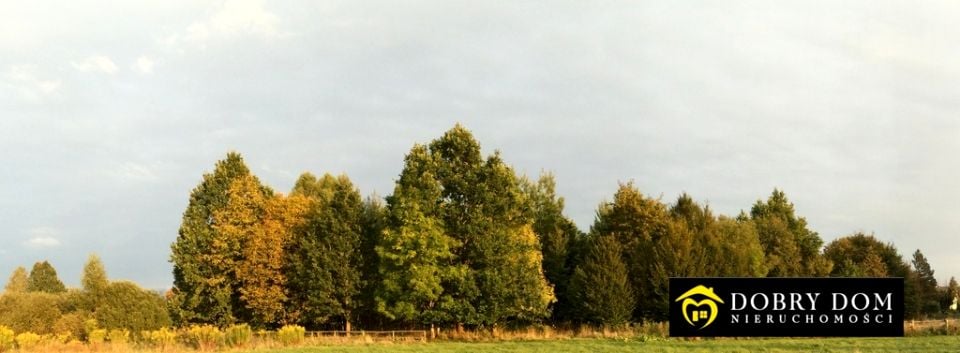 Działka budowlana Białowieża