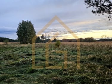 Działka siedliskowa Bełchów