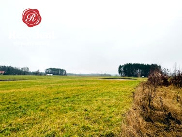 Działka przy lesie