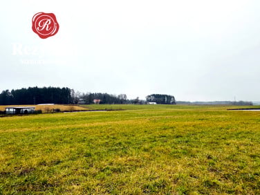 Działka Sępólno Krajeńskie
