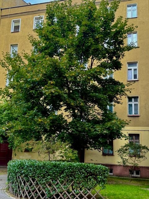 Mieszkanie Wrocław