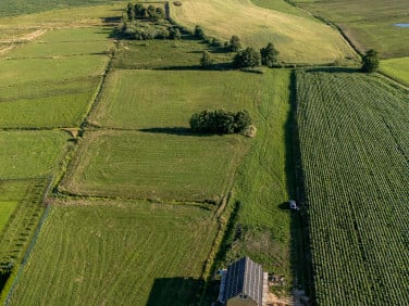 Działka Krokowa