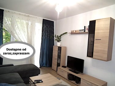Mieszkanie przy lesie