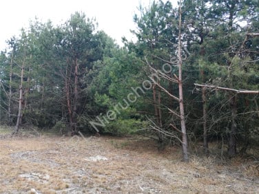 Działka budowlana Chełst
