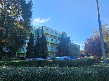 Mieszkanie Zabrze