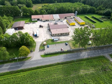 Lokal Dłutów