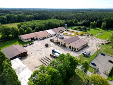 Lokal Dłutów sprzedaż