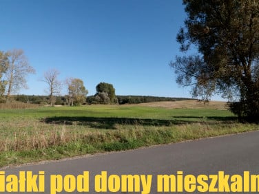 Działka Oćwieka