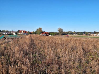 Działka Zaborówek