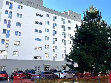 Lokal Kraków