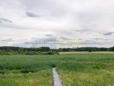 Działka nad jeziorem