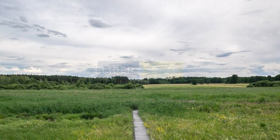 Działka nad jeziorem