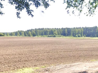 Działka nad jeziorem