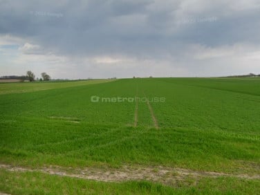 Działka Kuślin