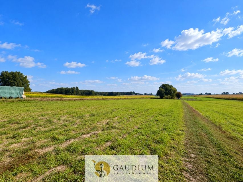 Działka budowlana Torzewo
