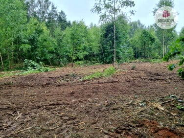 Działka budowlana Gutkowo