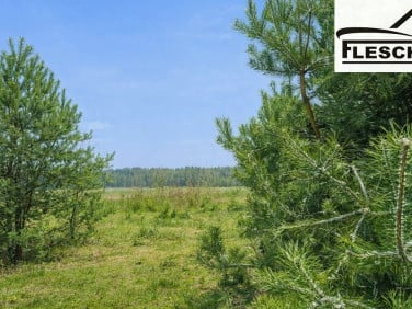Działka Siestrzeń