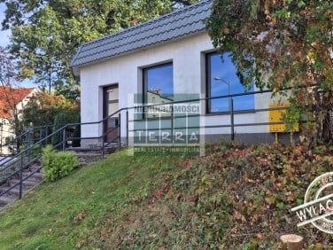 Lokal Zielona Góra
