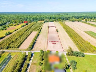 Działka Stare Orzechowo