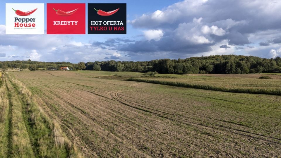 Działka budowlana Strużyna sprzedam